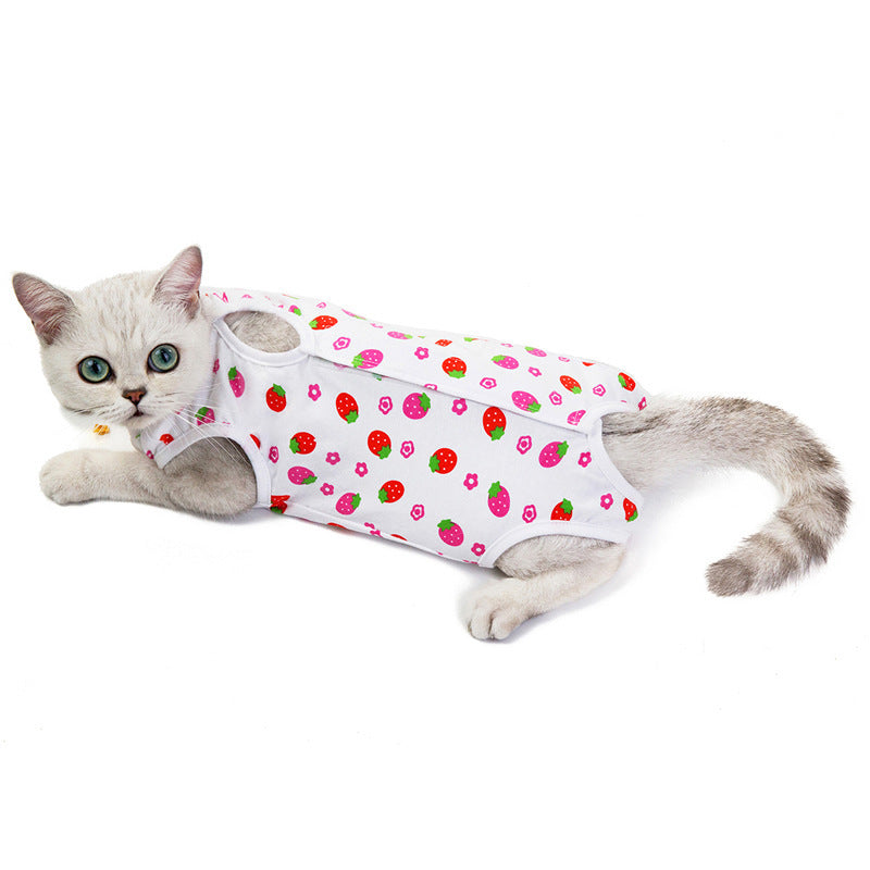 Ropa para gatos primavera y otoño