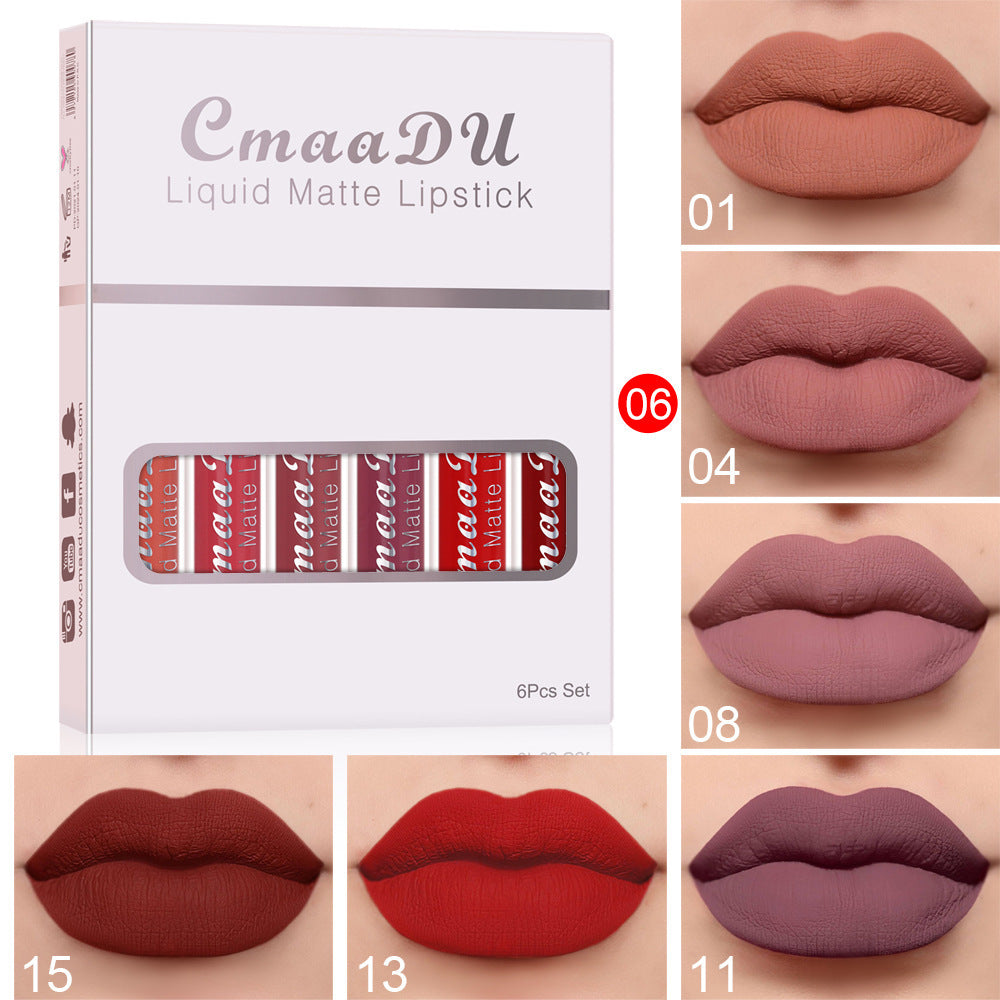 Caja de 6 lápices labial mate resistente al agua y larga duración