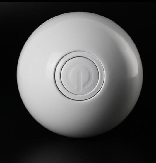 Electronic ball with LED laser and wheels for cats