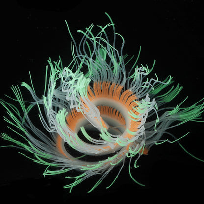 Decoration for fish tanks in various colors 50cm