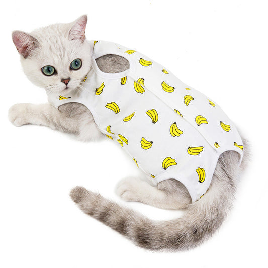 Ropa para gatos primavera y otoño