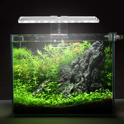 LED light for fish tanks