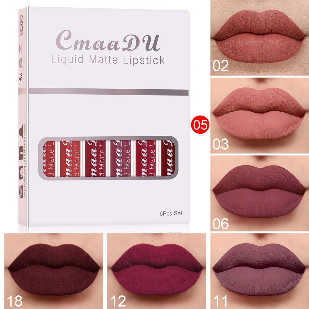 Box of 6 waterproof and long-lasting matte lipsticks