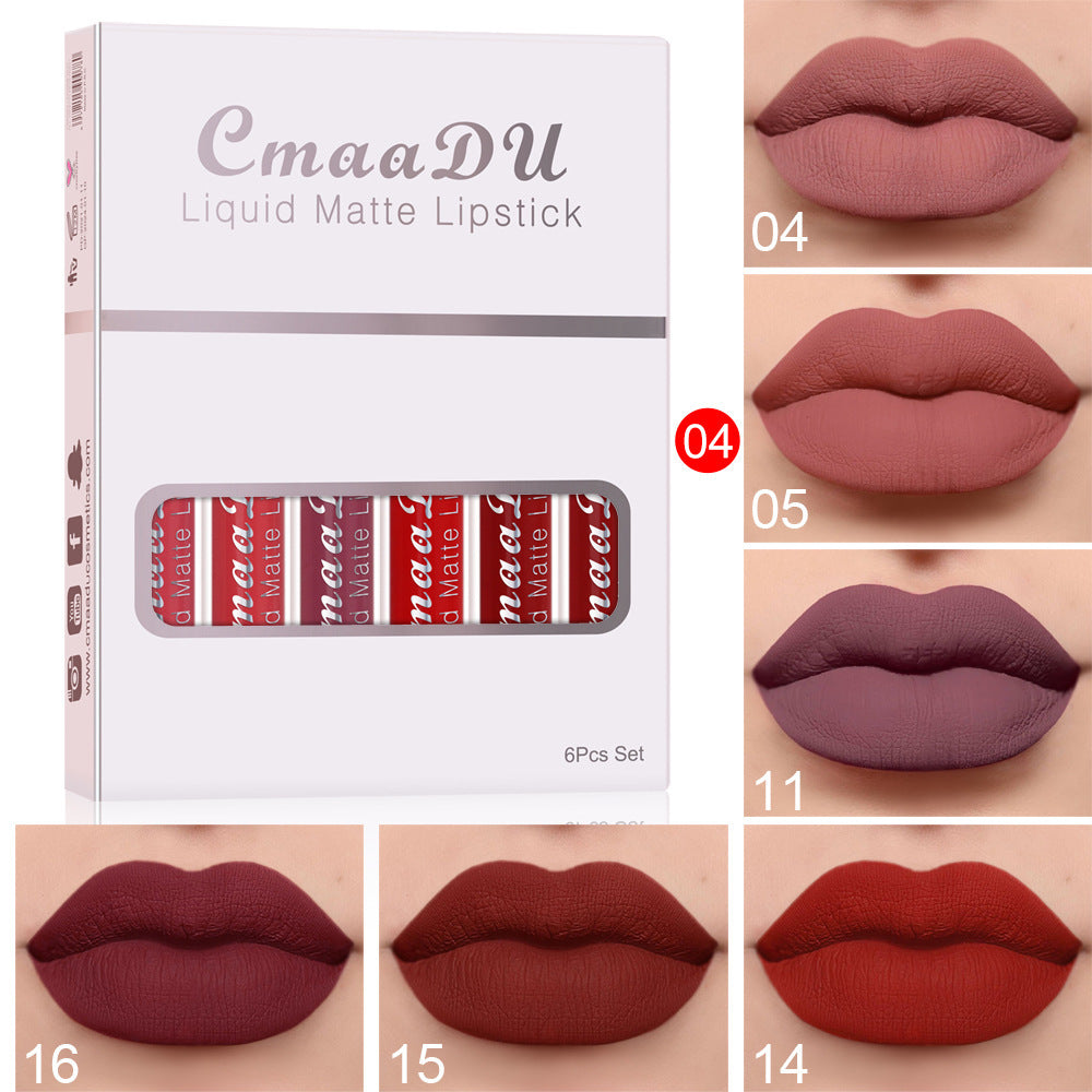 Box of 6 waterproof and long-lasting matte lipsticks