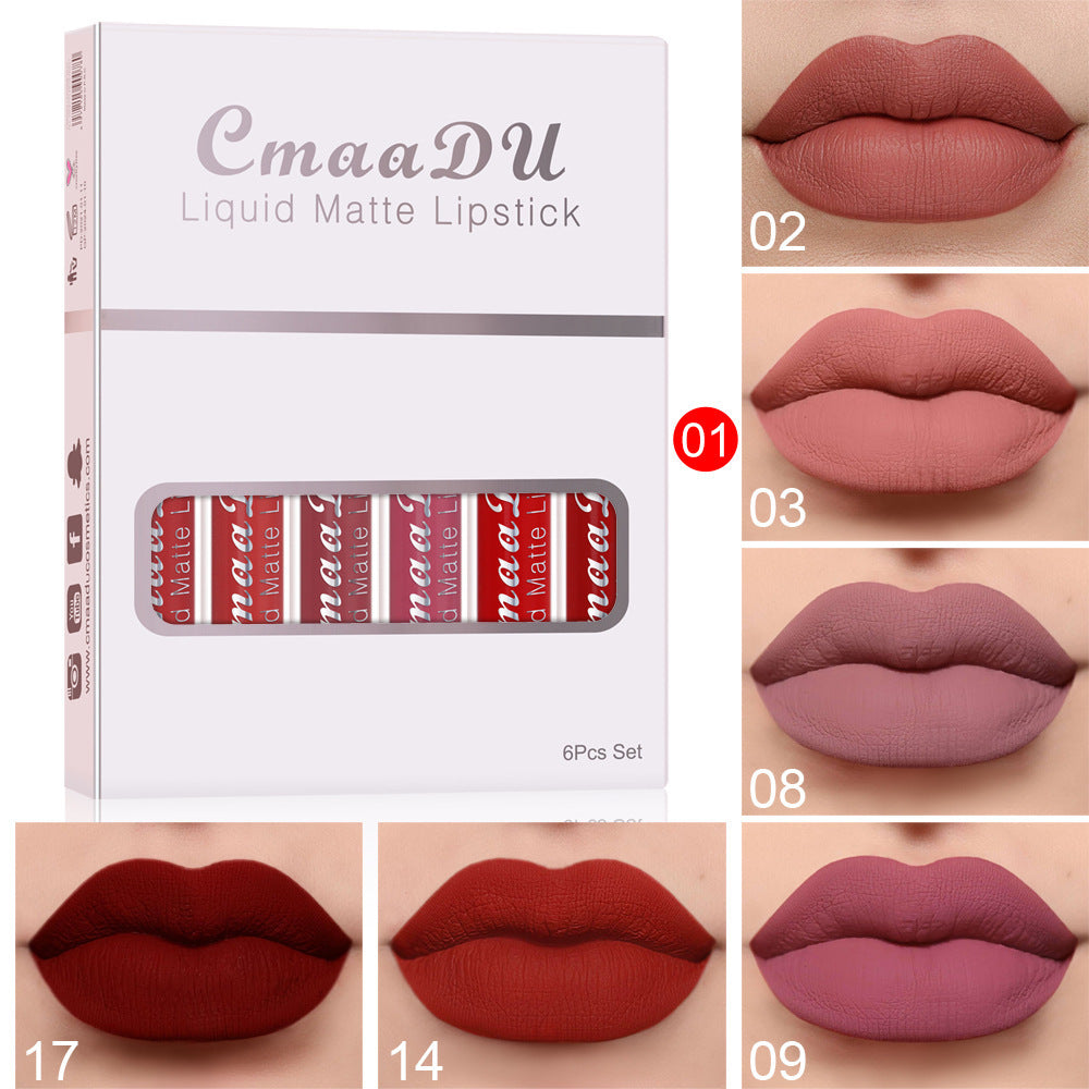 Box of 6 waterproof and long-lasting matte lipsticks